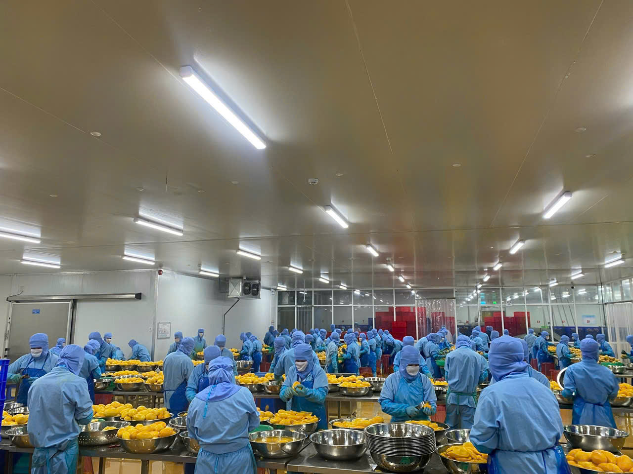 Our team of highly experienced workers