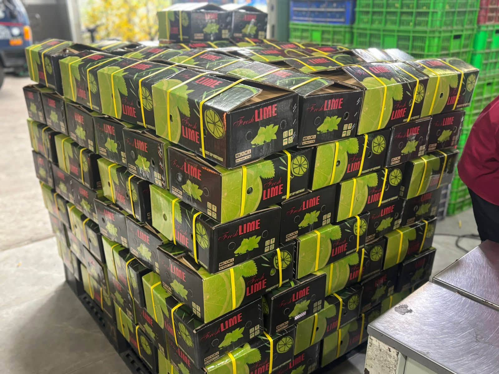 Goods are stored in cold storage.