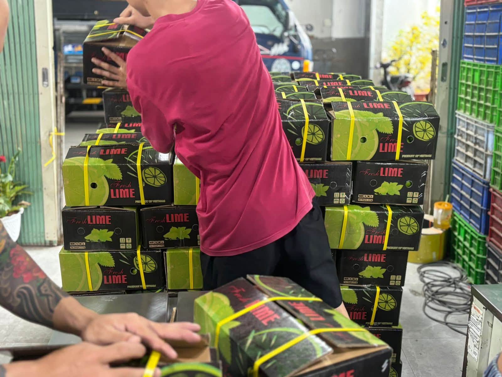 Export Packing and Final Inspection