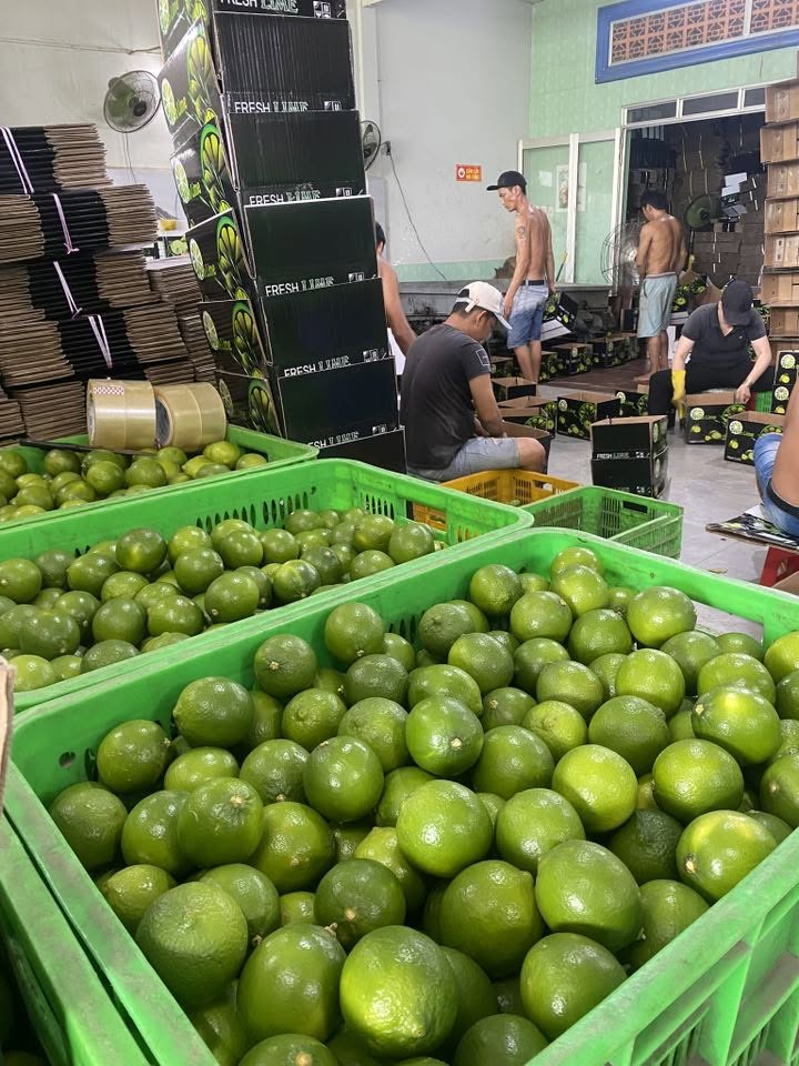 Receiving and Initial Inspection