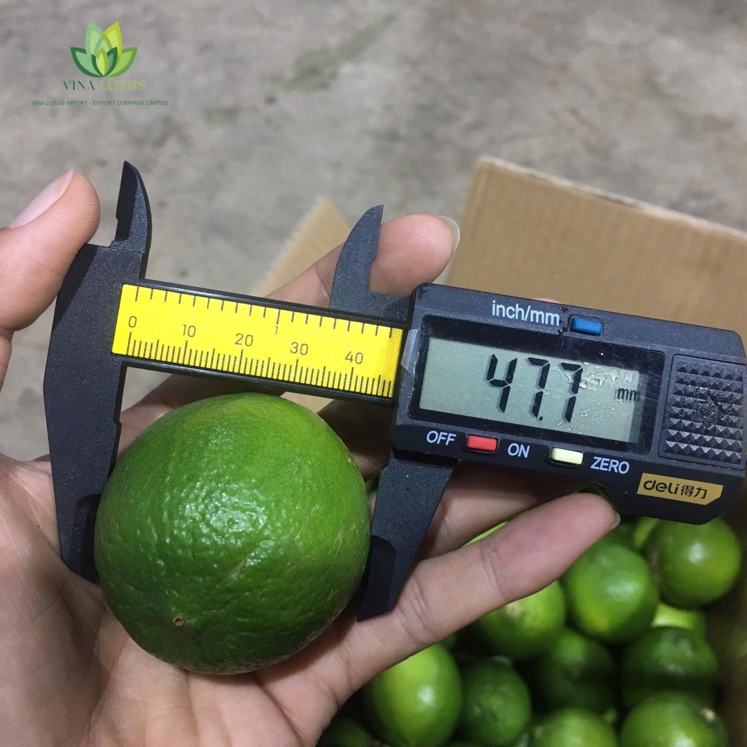 Receiving and Quality Inspection