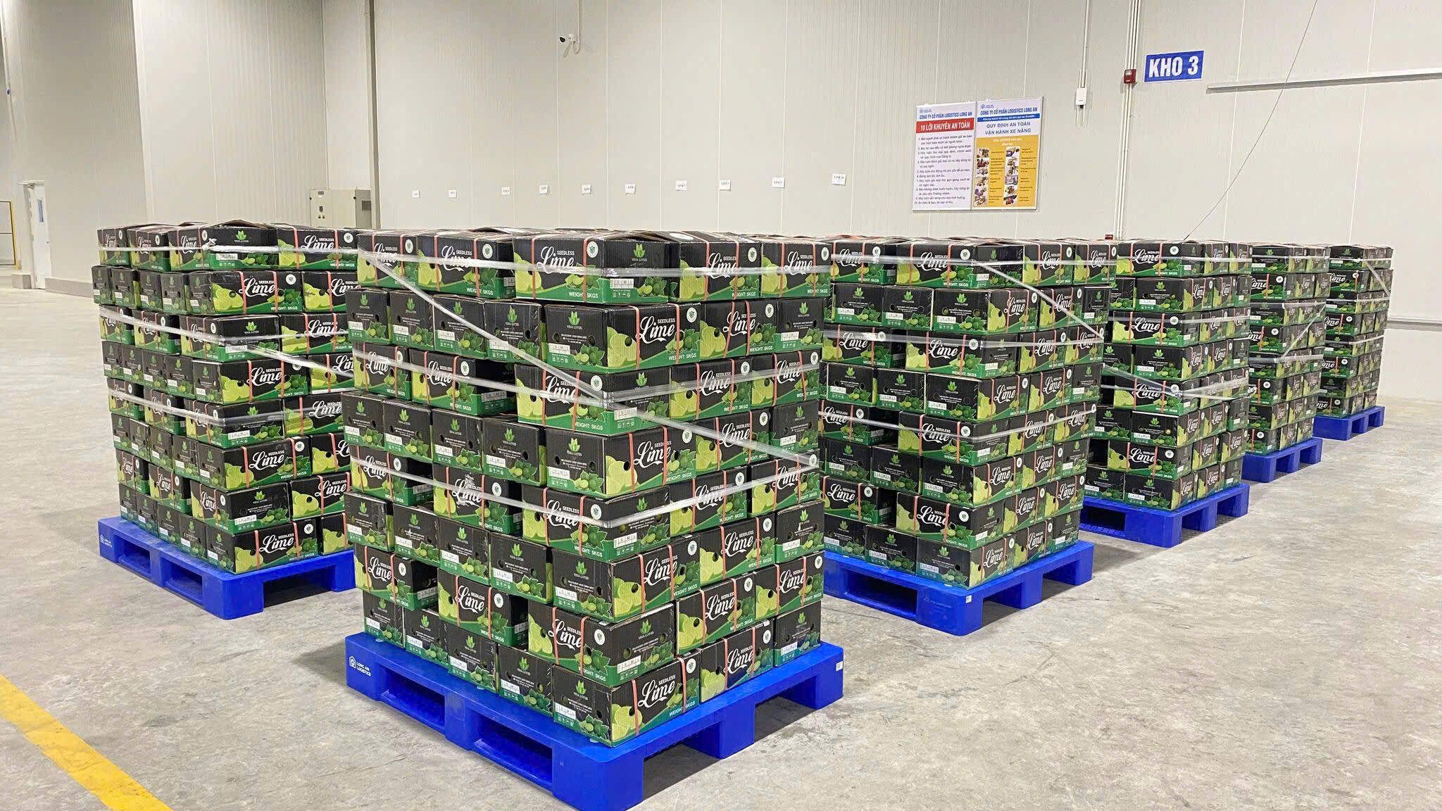 Packing and Cold Storage