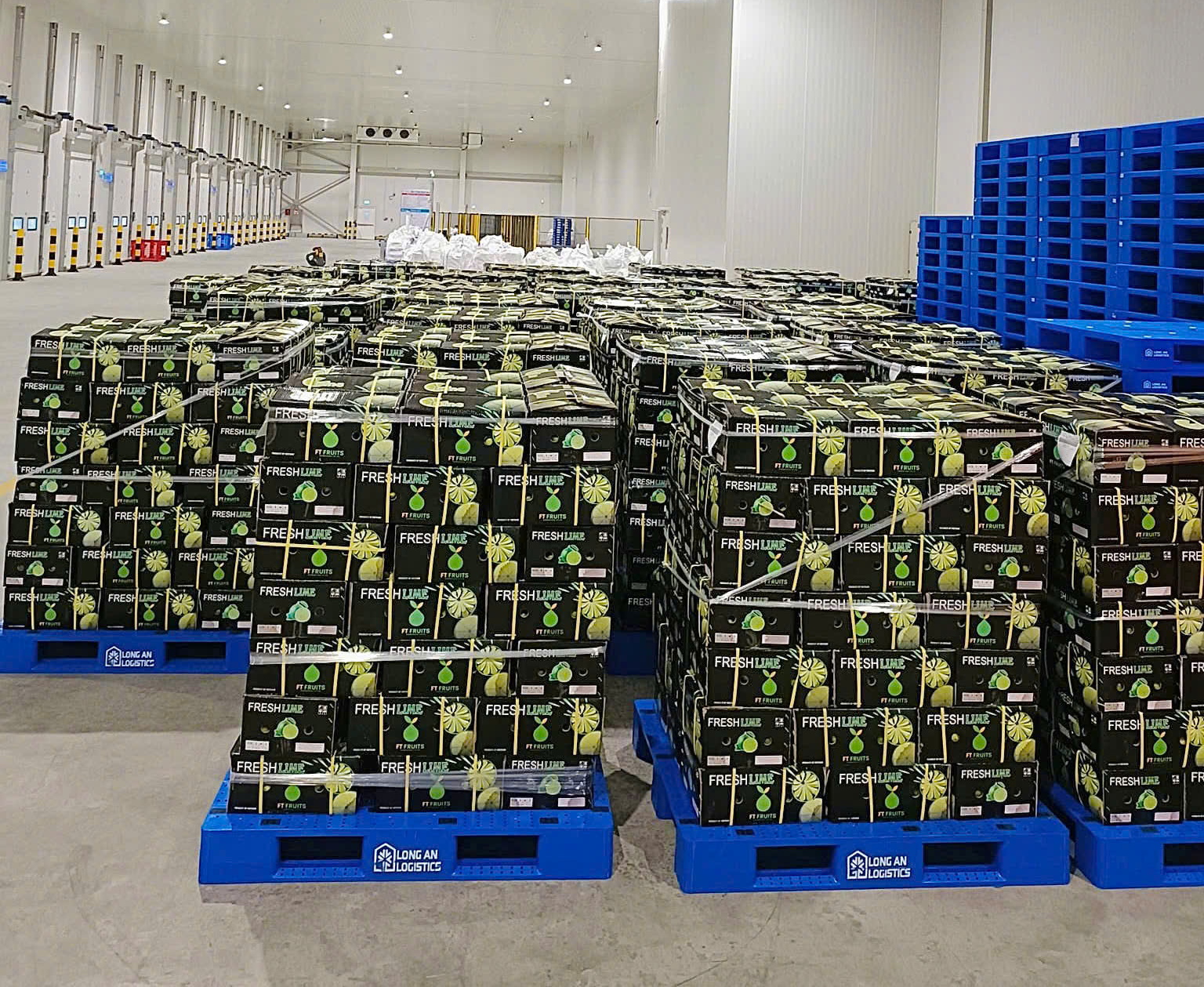 Cold storage ensures the quality of fruits before export