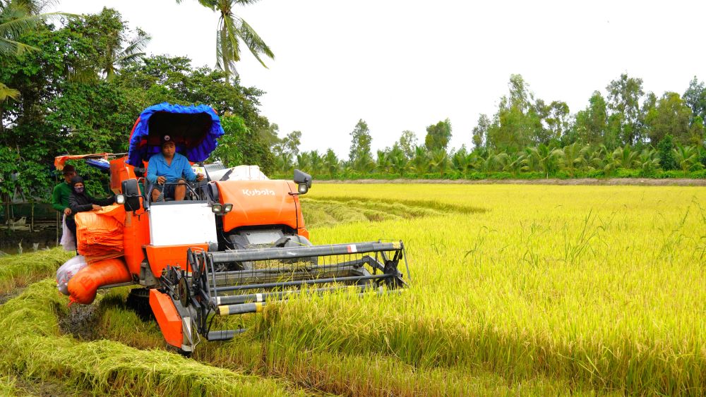 Raw Material Development and Sourcing