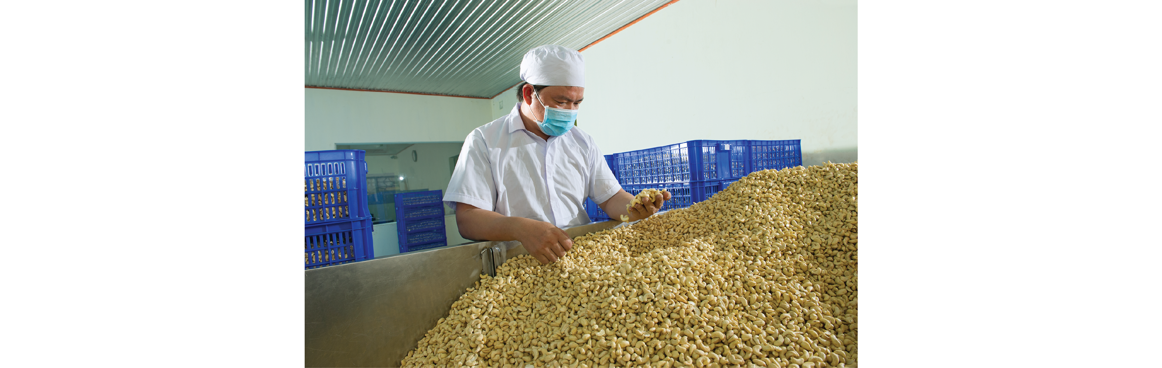 Factory & farm 3