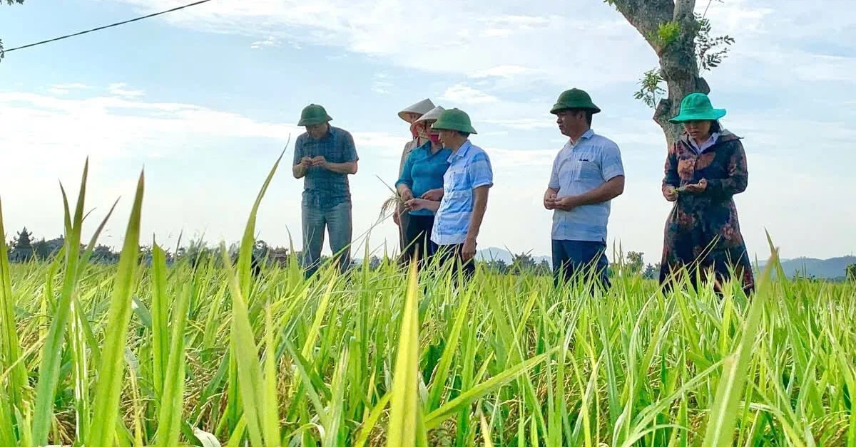 Cultivation Management