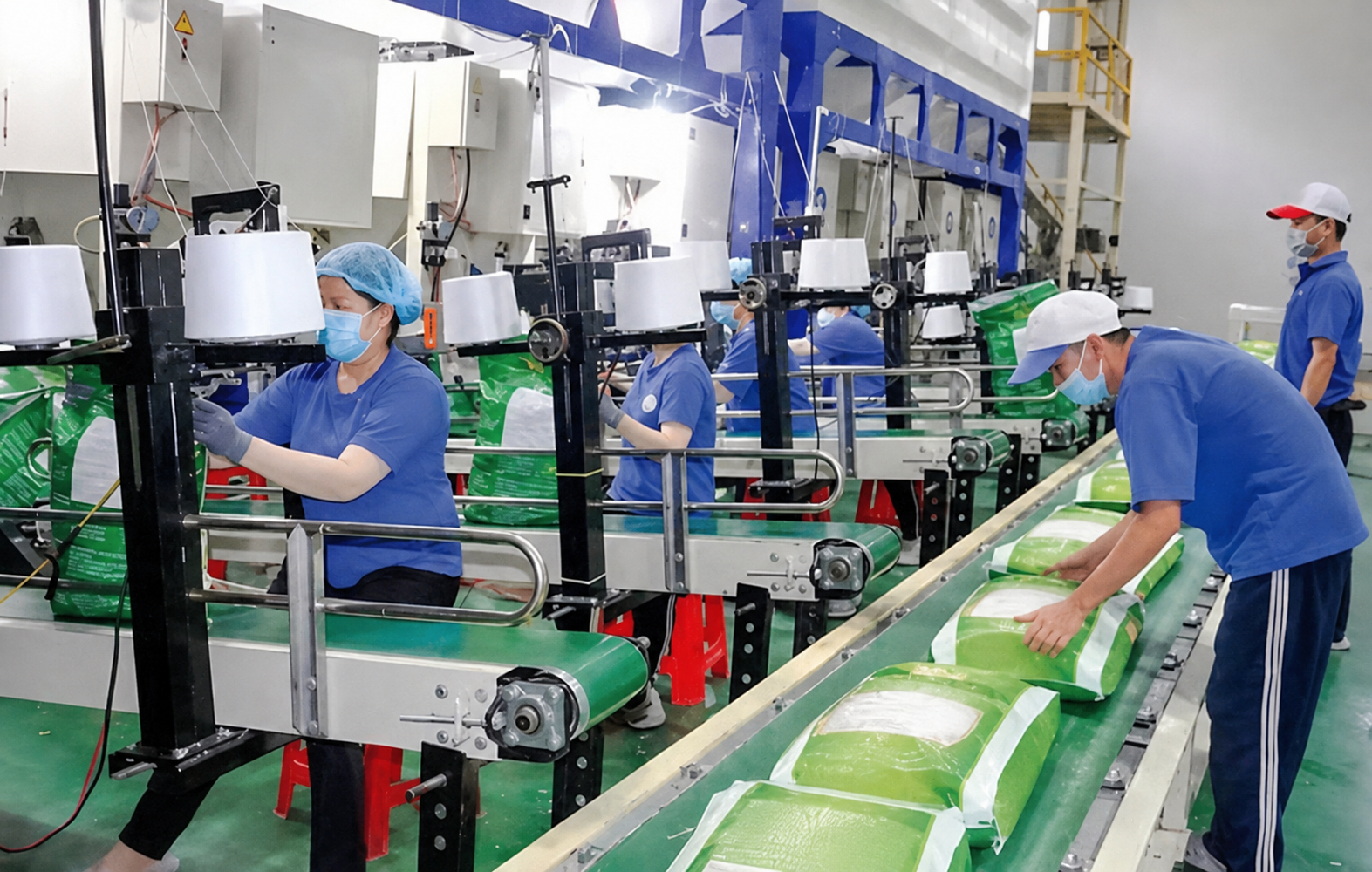 Inspection, Packing, and Export