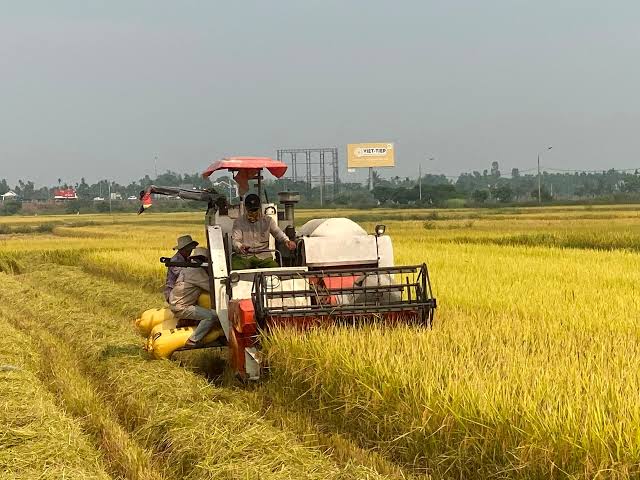 Raw Material Sourcing