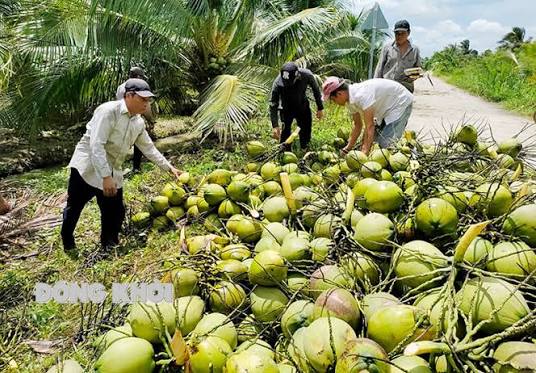 Raw Material Sourcing