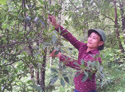 Raw Material Sourcing