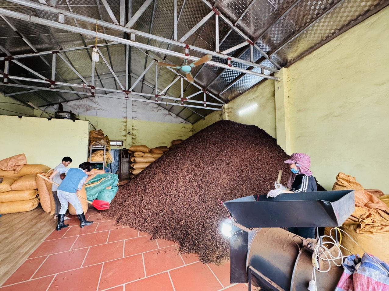 Sorting and Quality Inspection