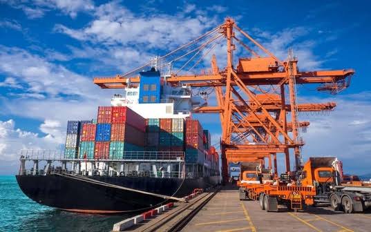 Packing and Export Preparation