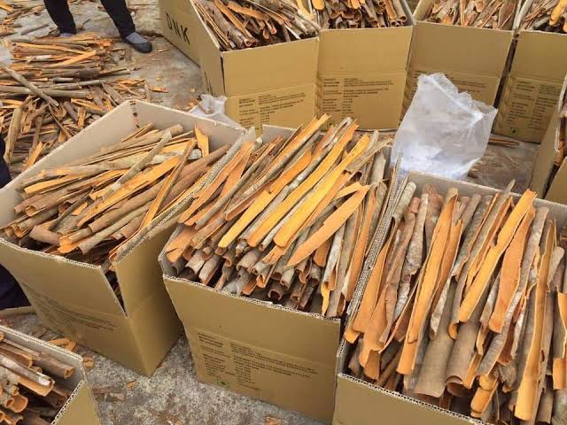 Packing and Export Preparation