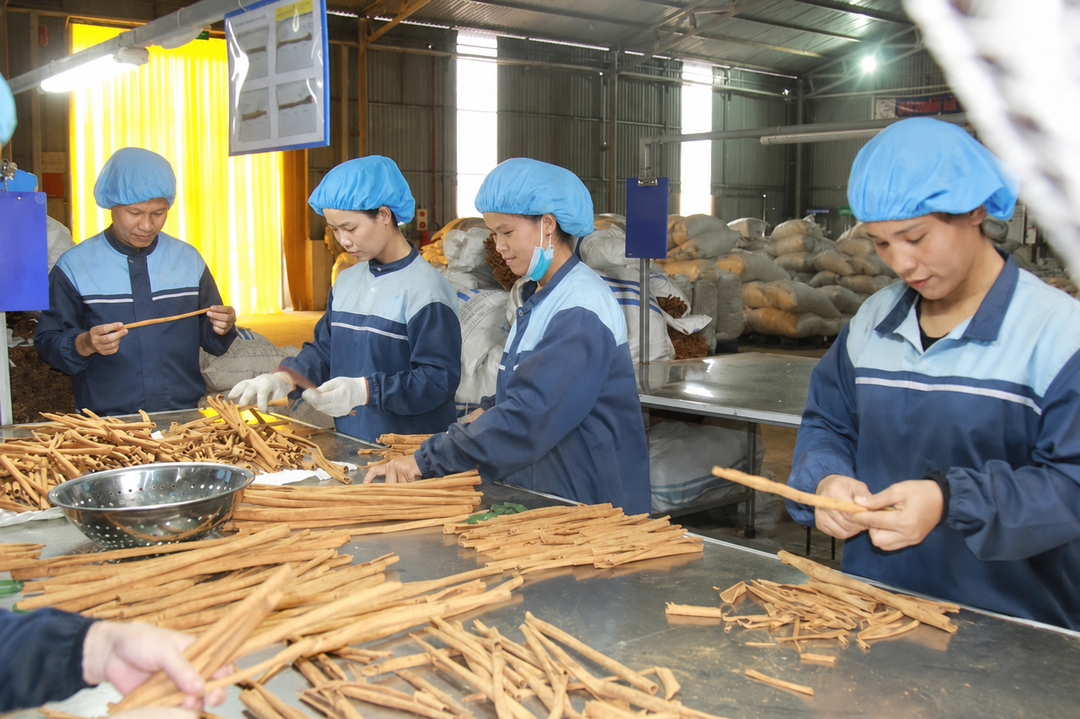 Specialized Processing