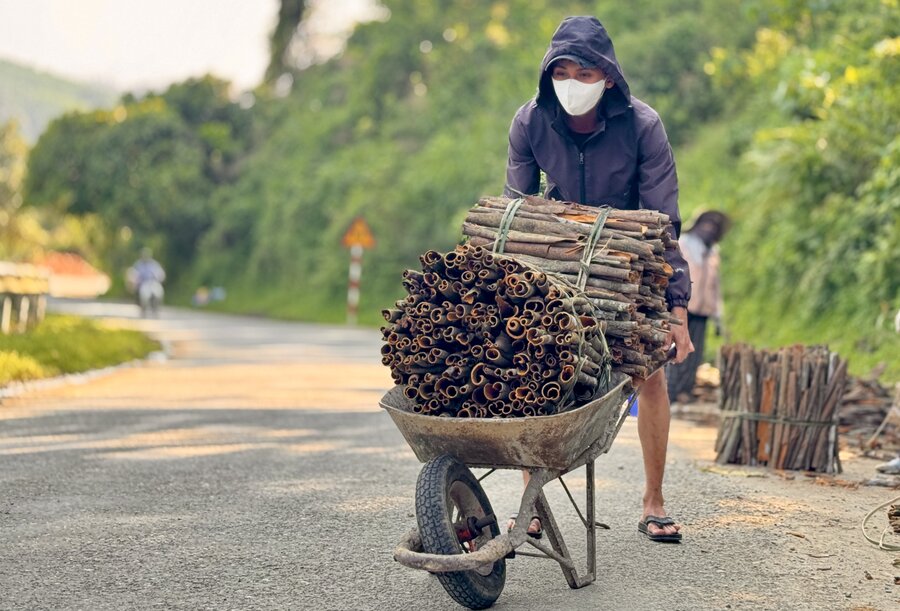 Khám phá nguồn nguyên liệu