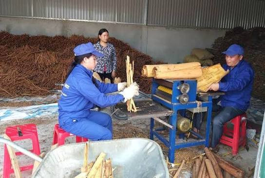 Sản xuất
