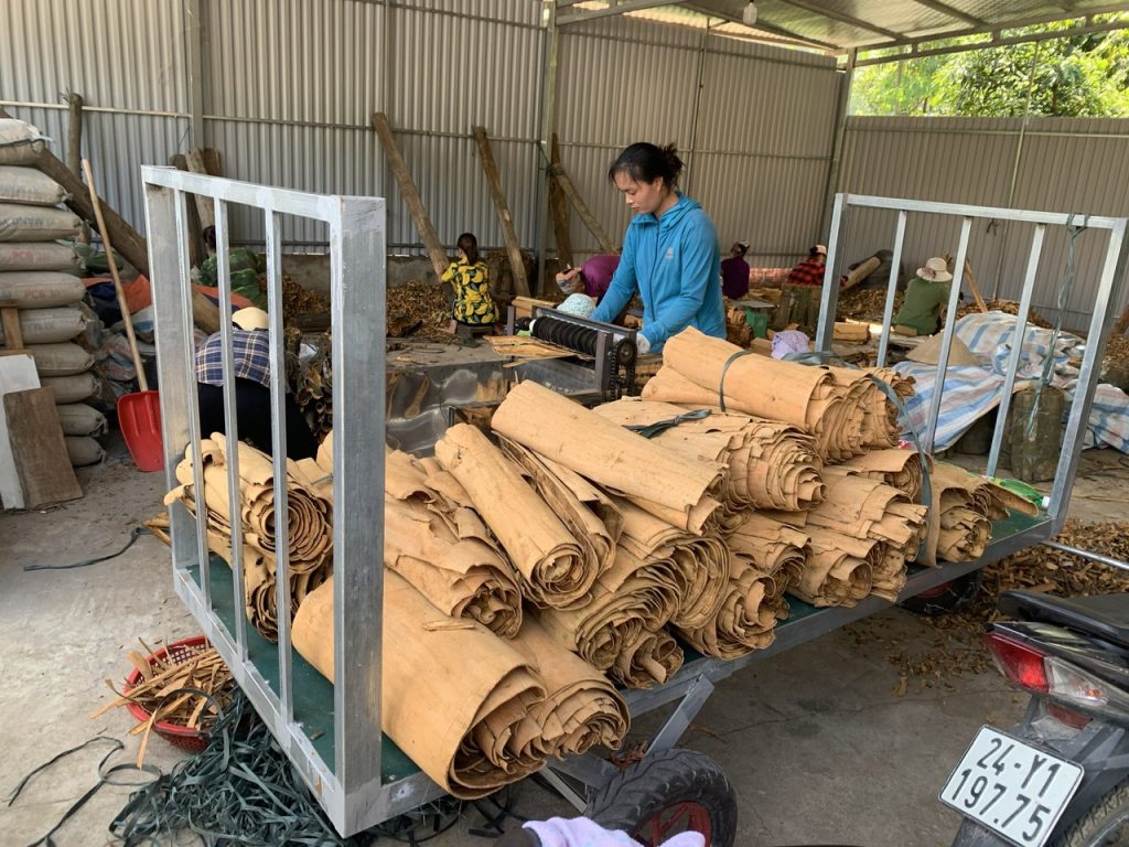 Specialized Processing