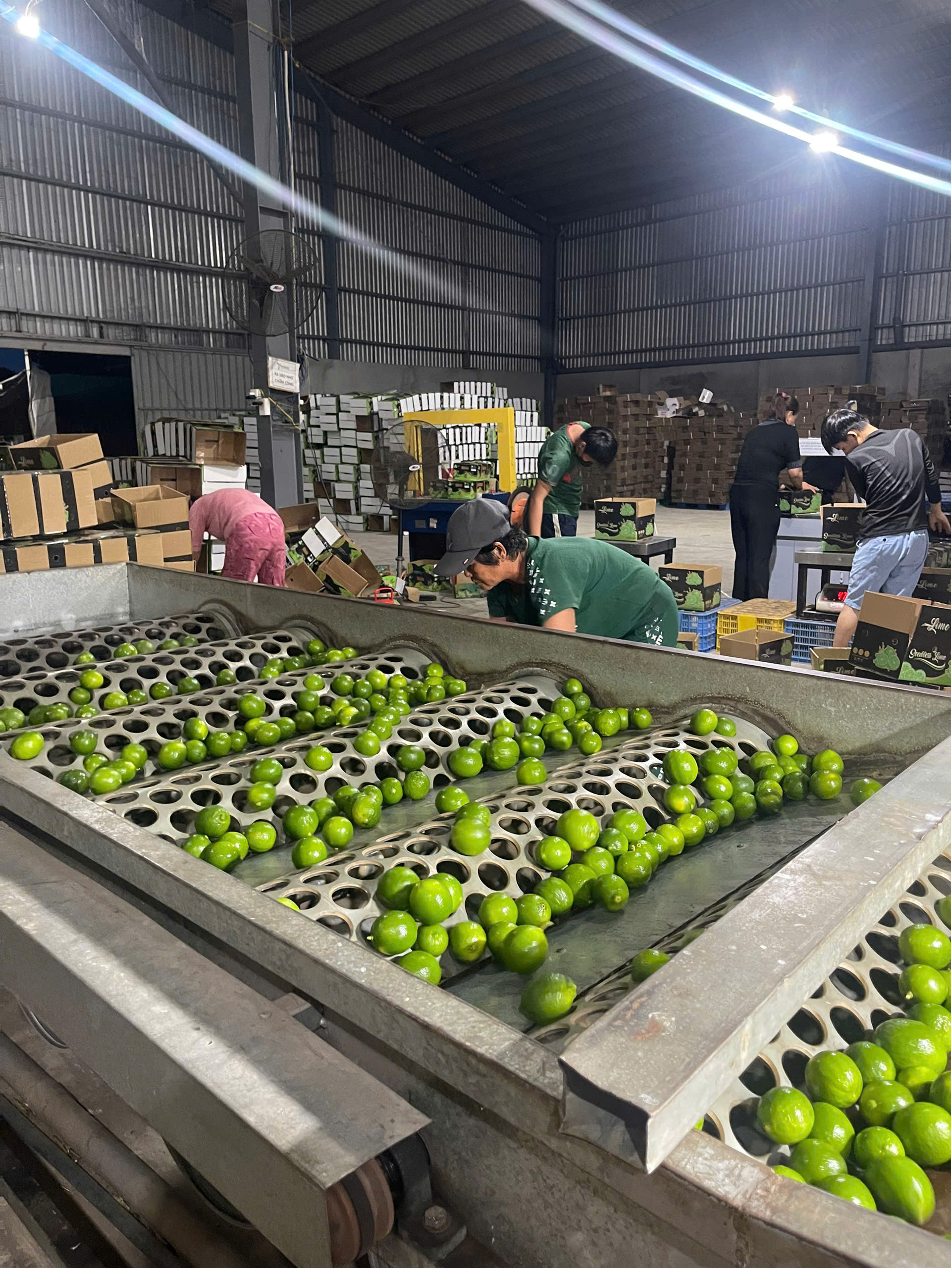 Lime Processing Process