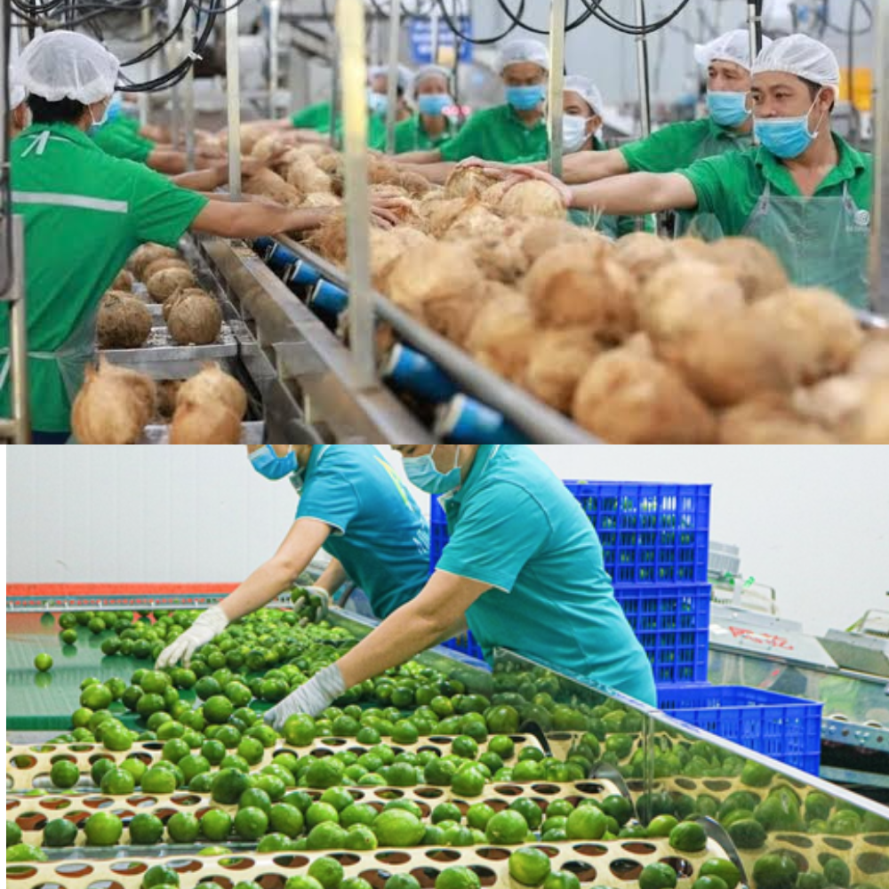 Product Inspection and Grading