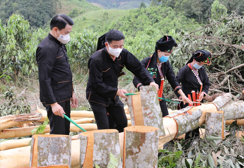 Raw Material Sourcing