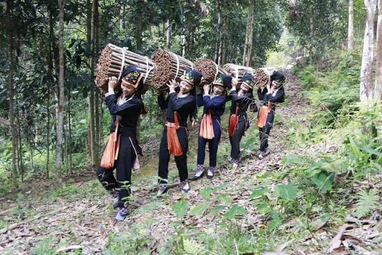 Lựa chọn sản phẩm và cấp hạng