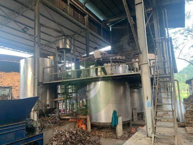Chế biến và phân loại