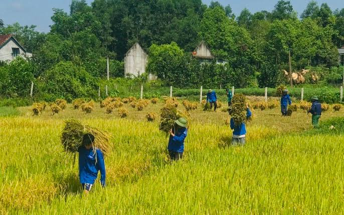 Harvesting