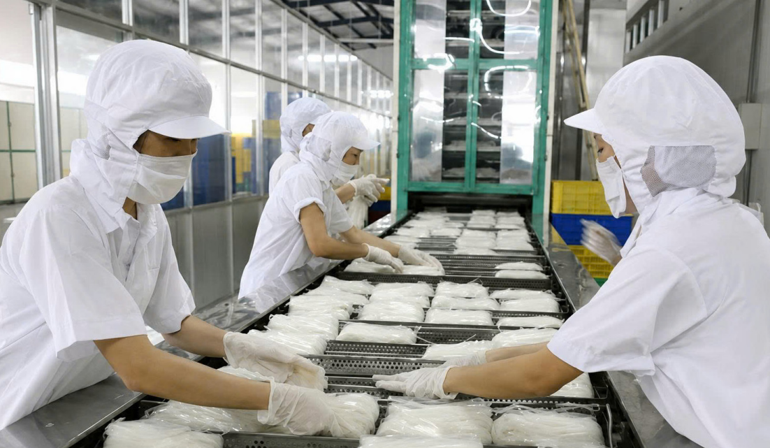 Processing & Manufacturing