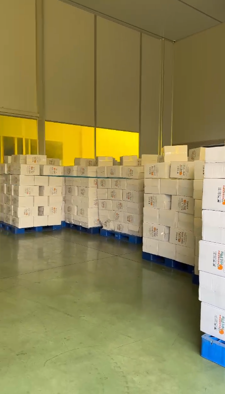Professional Packaging & Global Supply