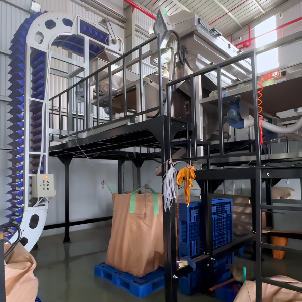 Advanced Processing & Automated Grading