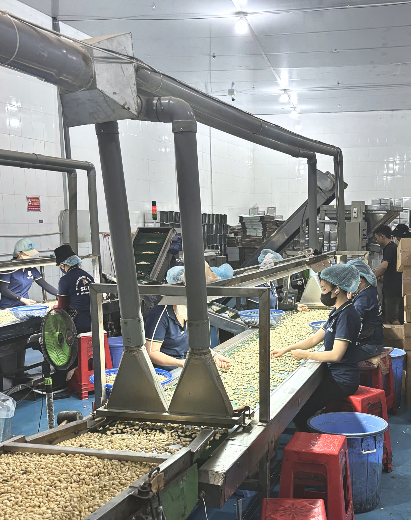 Raw Material Pre-Processing & Purification