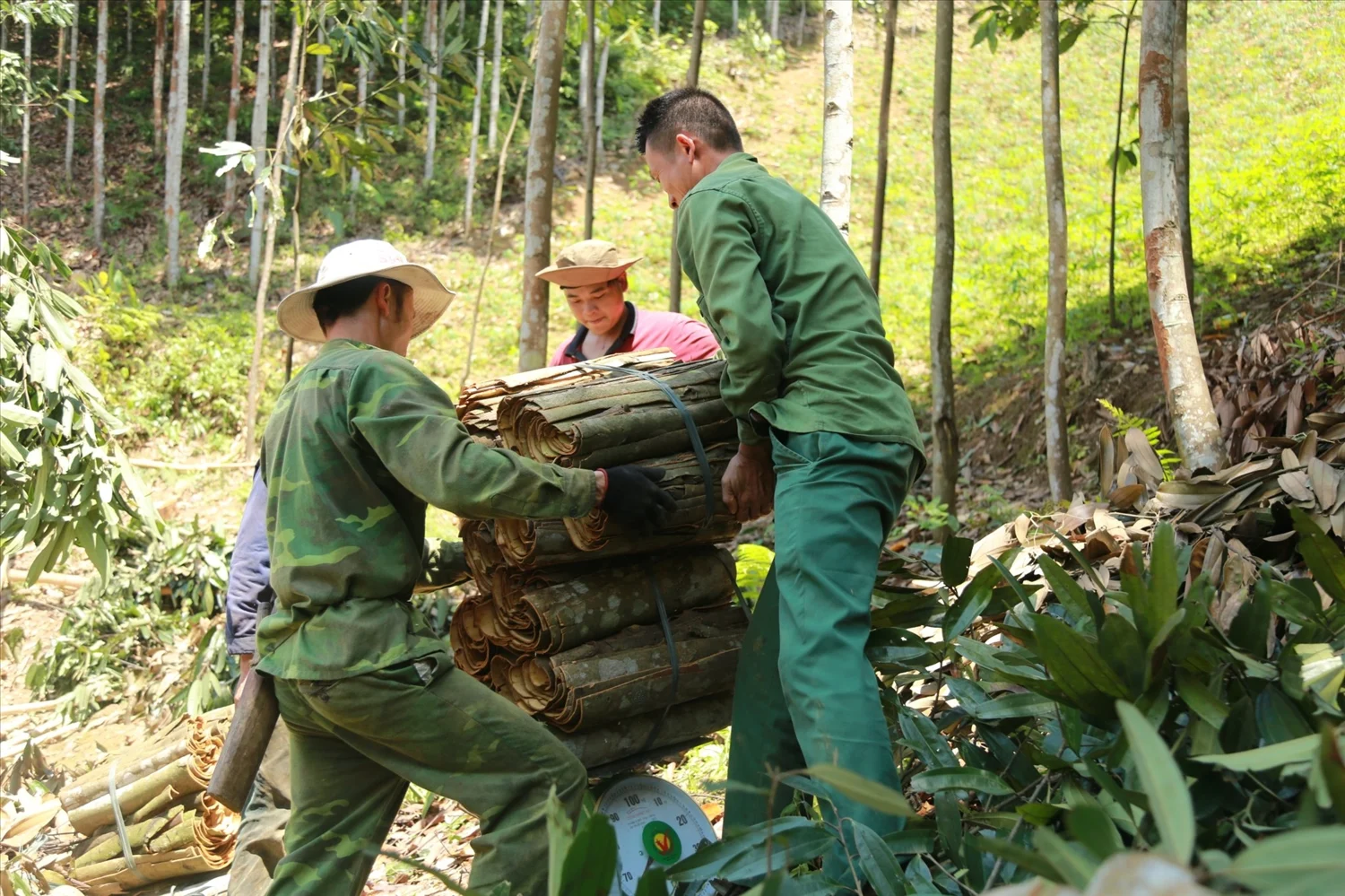 Direct Sourcing at Vietnamese Origin