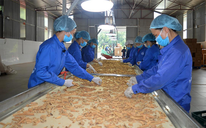 Processing & Quality Control