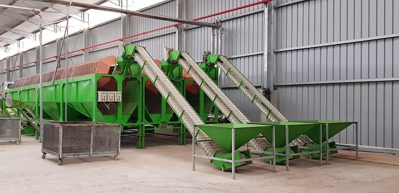 Raw Cashew Nut Cleaning & Size Classification