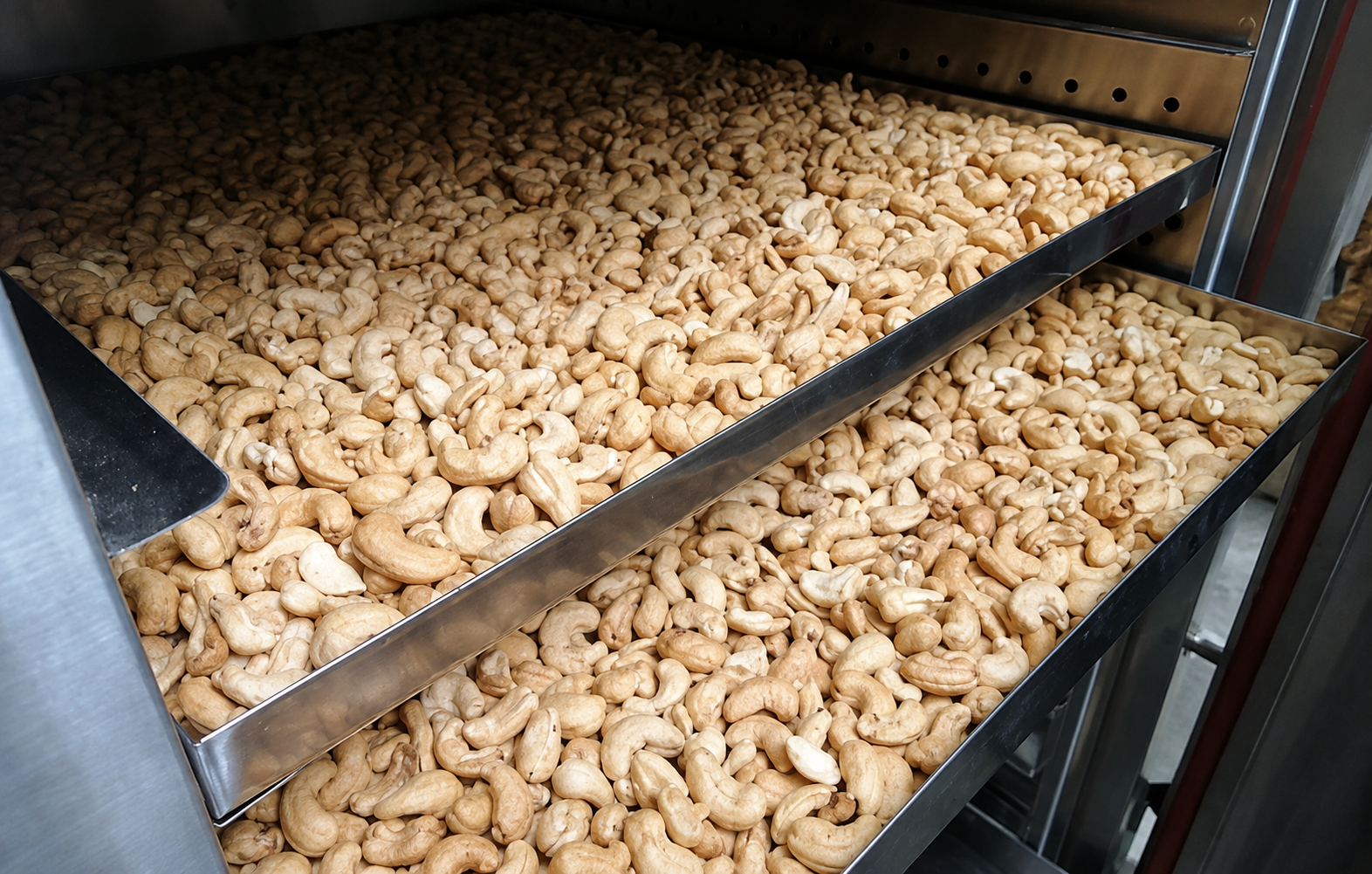 Shelling & Kernel Drying