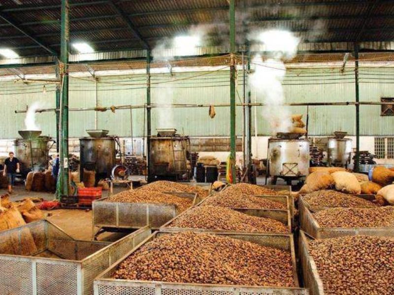 Water Soaking & Hot-Oil Roasting
