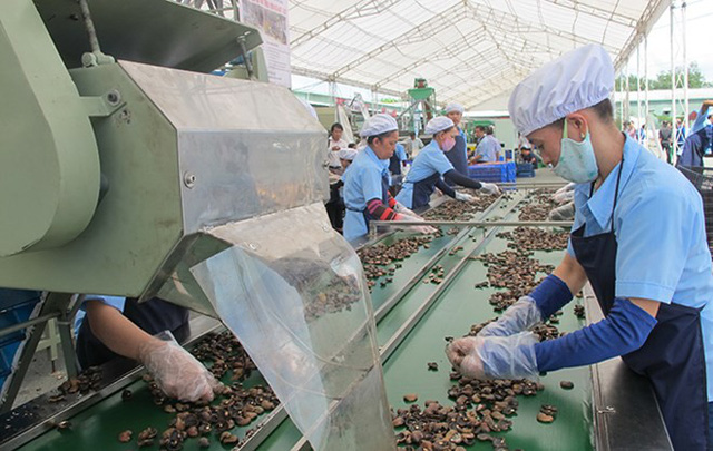 Final Cleaning, Inspection & Export Packaging