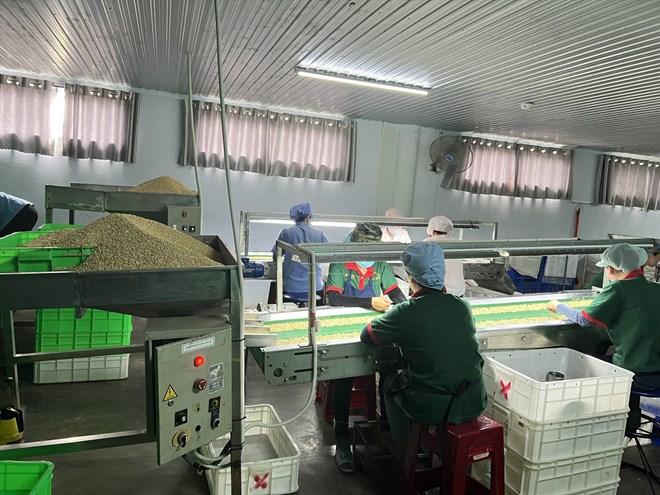 Inside the processing factory