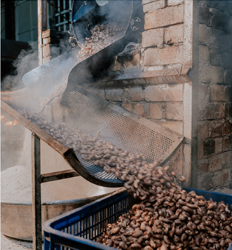 Drying & Kernel Preparation