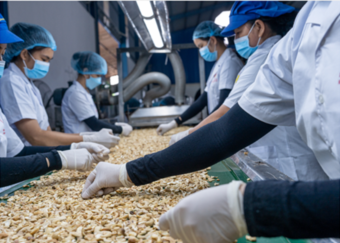 Raw Nut Preparation & Cleaning