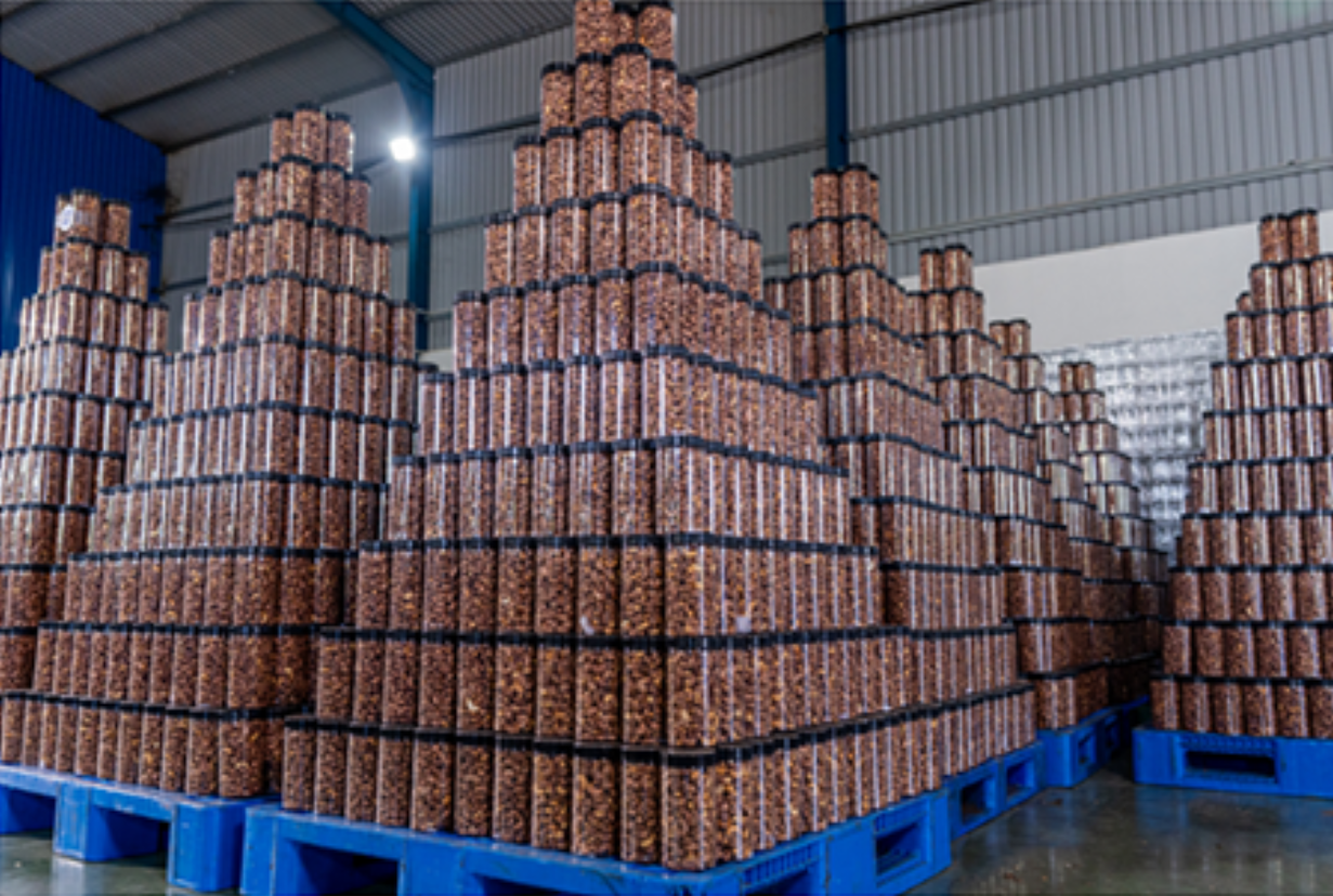 Final Quality Control & Export Packaging