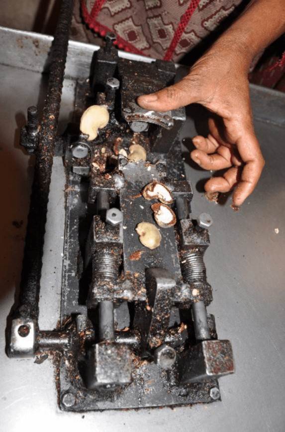 Kernel Separation, Skin Peeling & Grading