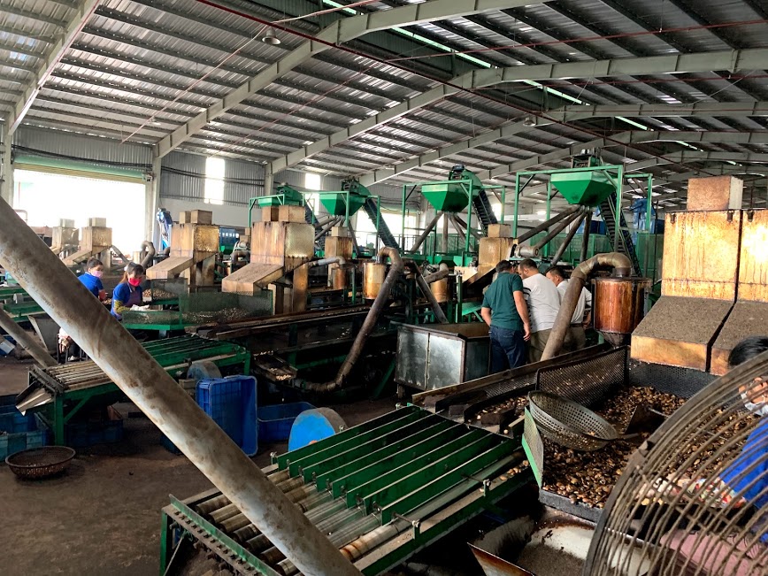 Peeling, Cleaning & Sorting