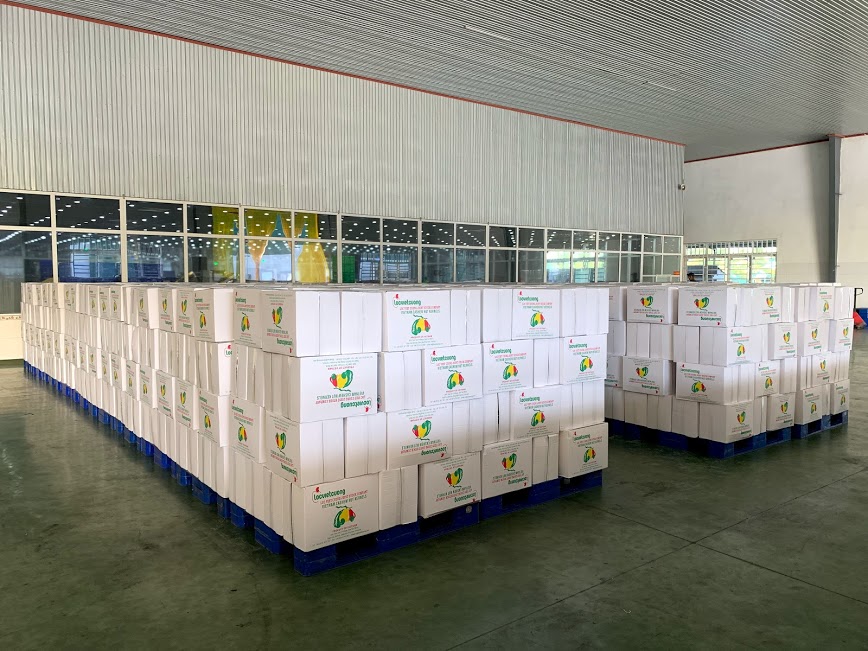 Export Packing & Shipment