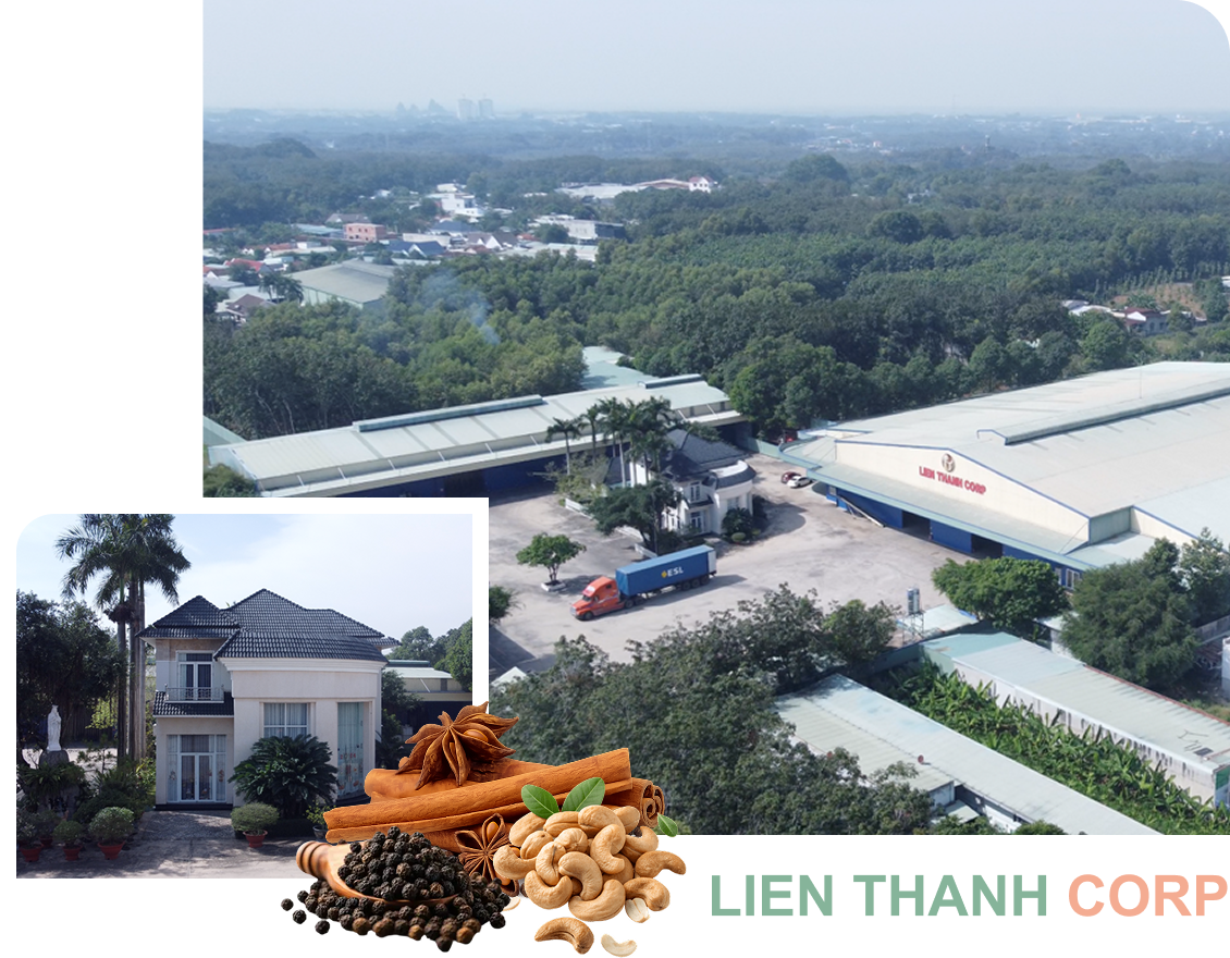 Nhà máy sản xuất