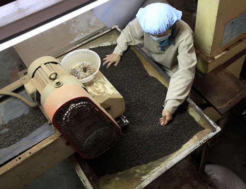Cleaning, Processing & Value Addition