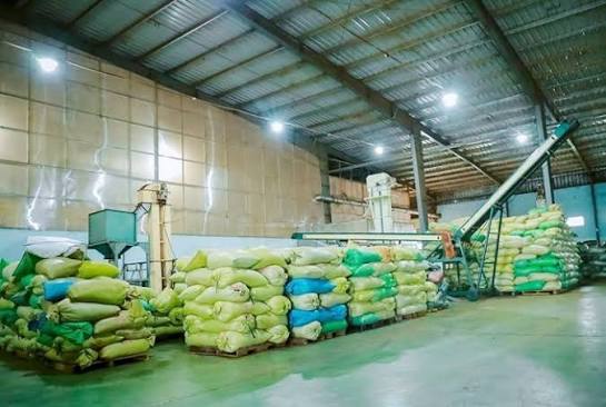 Packing & International Export