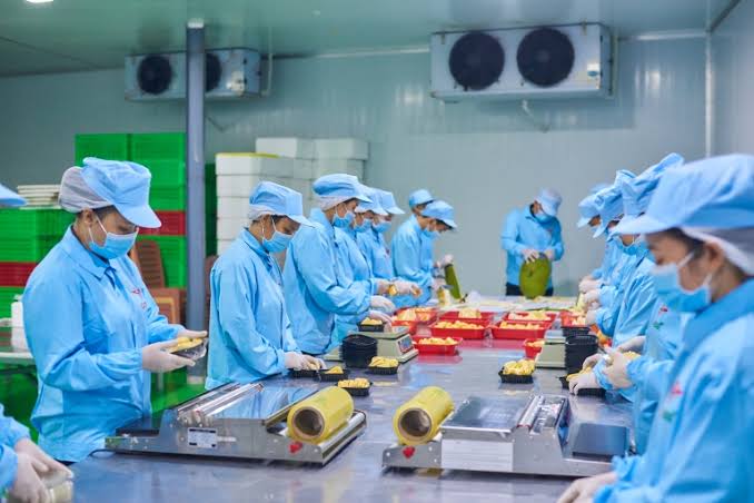 Our factory