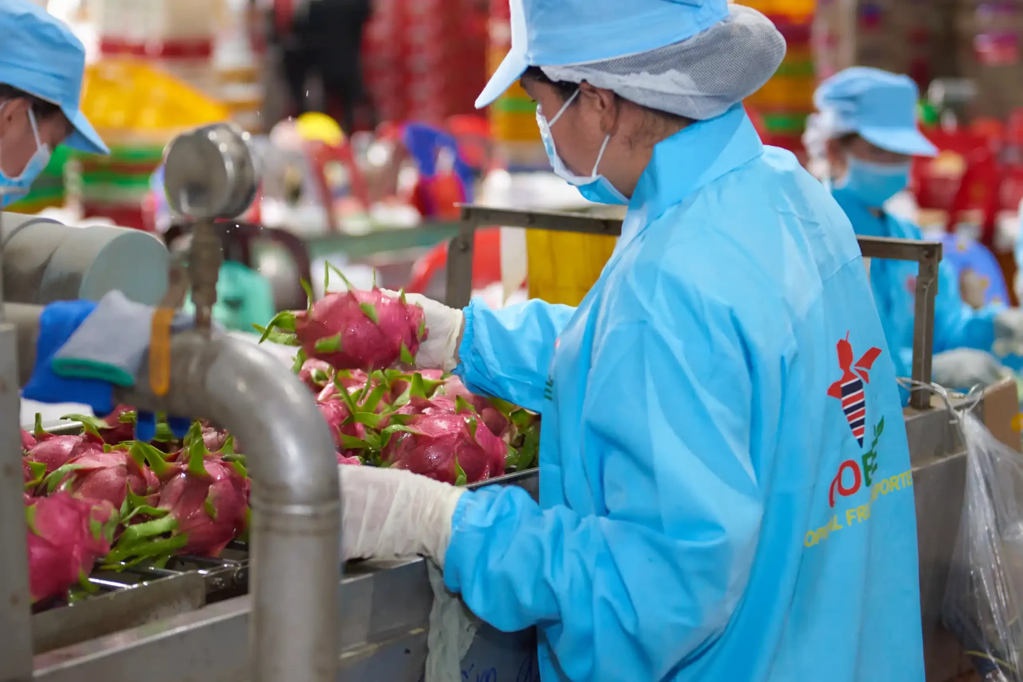 Pre-Cooling & Cold-Chain Handling