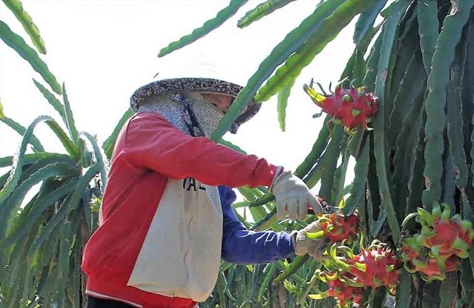 Farm Management & Crop Control